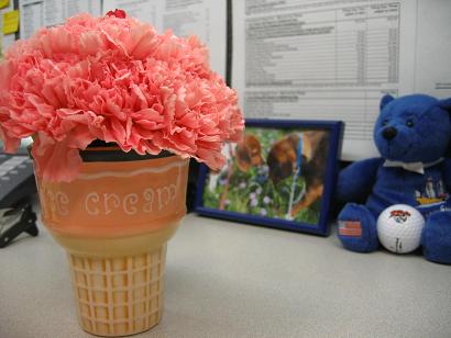 2006-11-14 005web.JPG