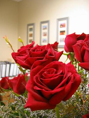 2006-11-14 017web.JPG